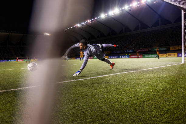 本文将为你 本文将为你